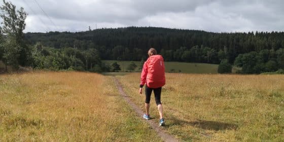 Skåneledem