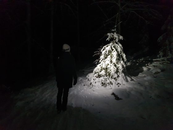 klåveröd