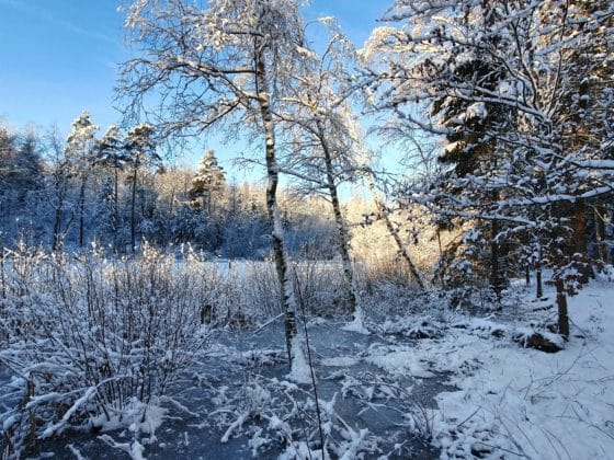 vinter
