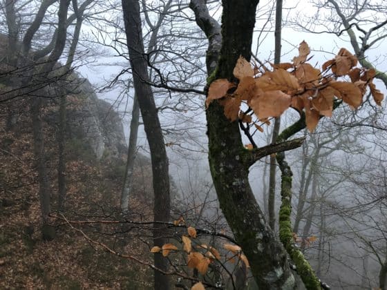 söderåsen