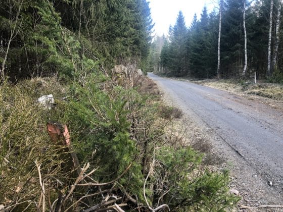 Skåneleden