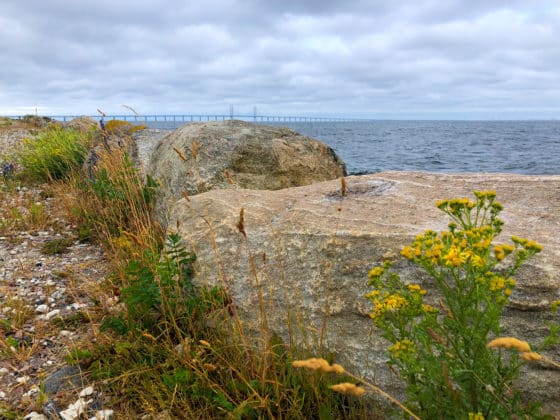 malmö five