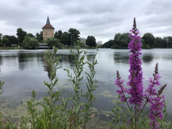 malmö five