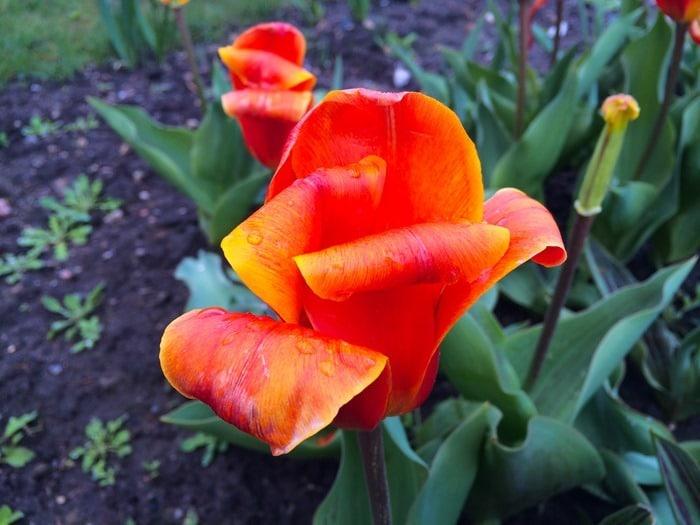 Photo 2014-04-18 10 13 30