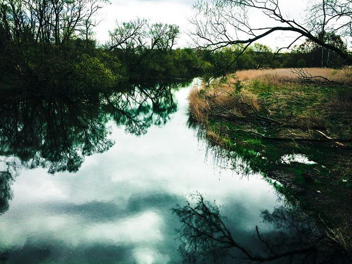 Photo 2014-04-18 10 18 11
